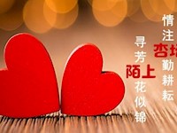 寻芳陌上花似锦，情注杏坛勤耕耘——记木渎范仲淹实验小学青年教师培训活动